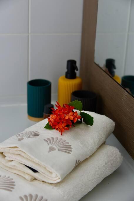 Joli Manga Soley Studio Dans Tres Belle Residence แซงต์-ฟรองซัวส์ ภายนอก รูปภาพ